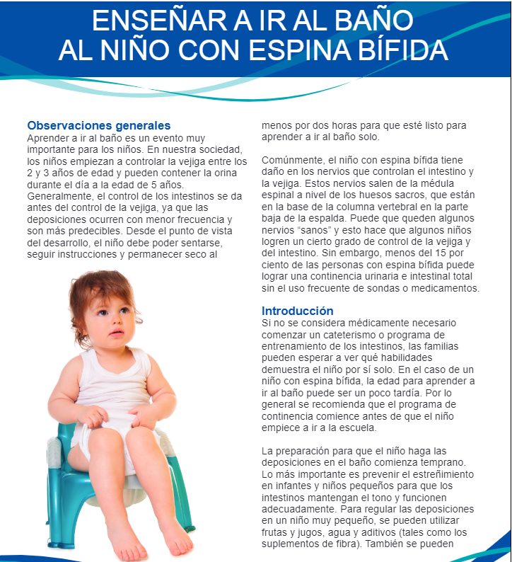 chico Noticias Aprendiz Cómo enseñar a ir al baño a los niños con Espina Bífida - Spina Bifida  Association
